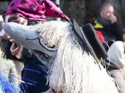Allschwiler Fasnacht 26 - Andreas Lutz